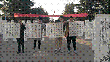 图片8